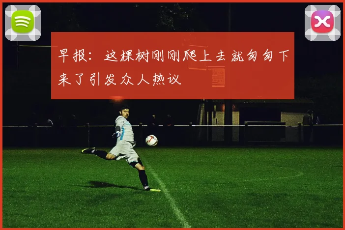 早报：这棵树刚刚爬上去就匆匆下来了引发众人热议