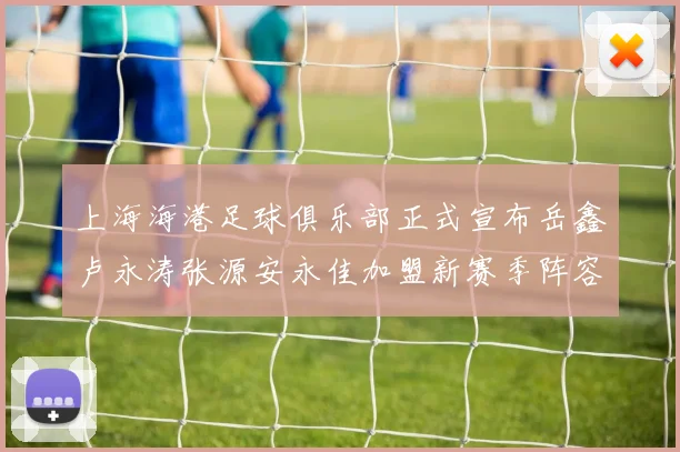 上海海港足球俱乐部正式宣布岳鑫卢永涛张源安永佳加盟新赛季阵容更新