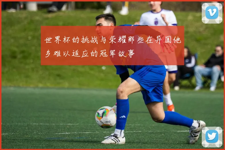 世界杯的挑战与荣耀那些在异国他乡难以适应的冠军故事